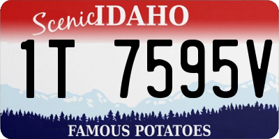 ID license plate 1T7595V