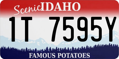 ID license plate 1T7595Y