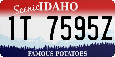 ID license plate 1T7595Z