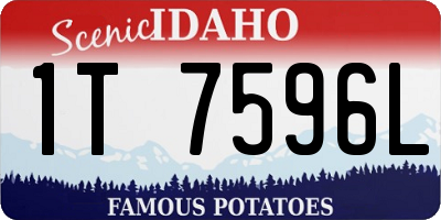 ID license plate 1T7596L