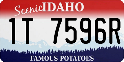 ID license plate 1T7596R