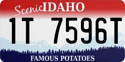 ID license plate 1T7596T