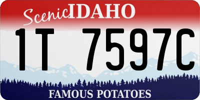 ID license plate 1T7597C