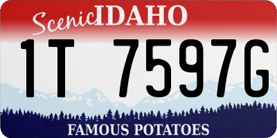 ID license plate 1T7597G