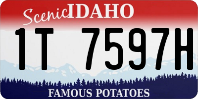 ID license plate 1T7597H