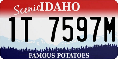 ID license plate 1T7597M