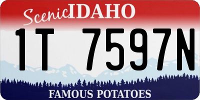 ID license plate 1T7597N