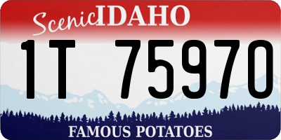 ID license plate 1T7597O