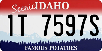 ID license plate 1T7597S