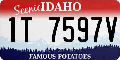 ID license plate 1T7597V