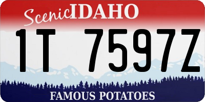 ID license plate 1T7597Z