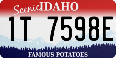 ID license plate 1T7598E