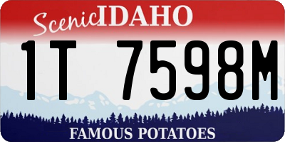 ID license plate 1T7598M