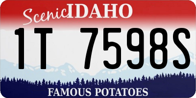 ID license plate 1T7598S