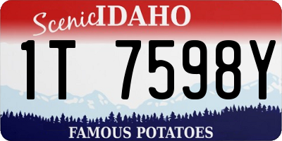 ID license plate 1T7598Y