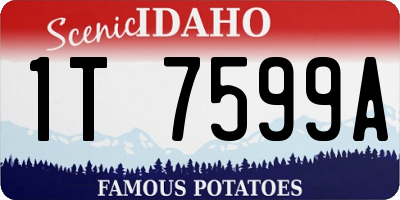 ID license plate 1T7599A