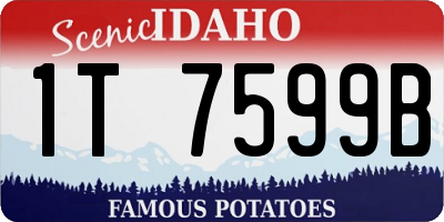 ID license plate 1T7599B