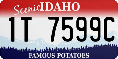 ID license plate 1T7599C