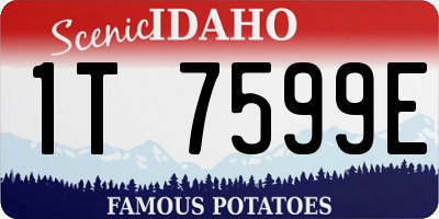 ID license plate 1T7599E