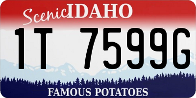 ID license plate 1T7599G