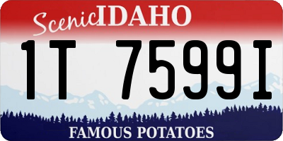 ID license plate 1T7599I