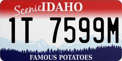 ID license plate 1T7599M