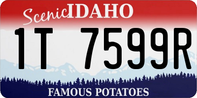 ID license plate 1T7599R