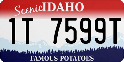 ID license plate 1T7599T