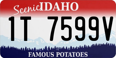 ID license plate 1T7599V