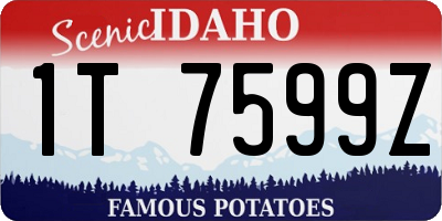 ID license plate 1T7599Z