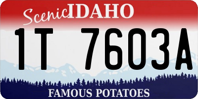 ID license plate 1T7603A
