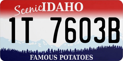 ID license plate 1T7603B