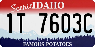 ID license plate 1T7603C