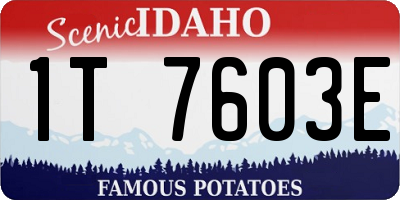 ID license plate 1T7603E