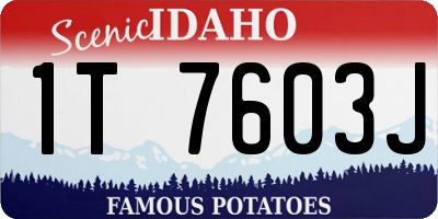 ID license plate 1T7603J