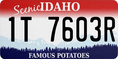 ID license plate 1T7603R