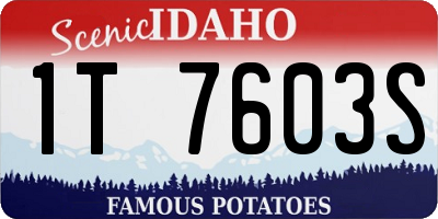 ID license plate 1T7603S