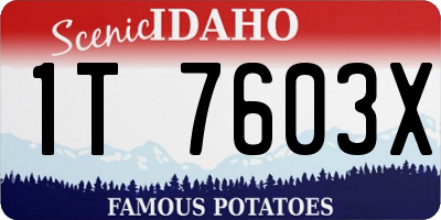 ID license plate 1T7603X