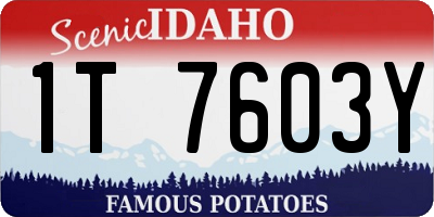 ID license plate 1T7603Y