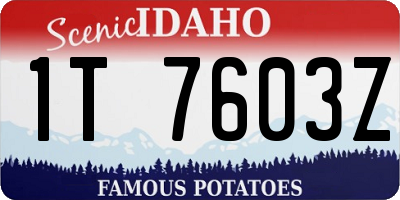 ID license plate 1T7603Z