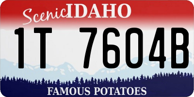 ID license plate 1T7604B