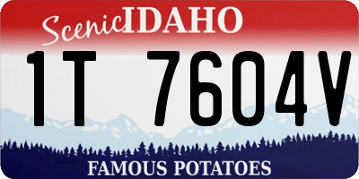 ID license plate 1T7604V