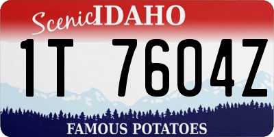 ID license plate 1T7604Z