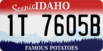 ID license plate 1T7605B
