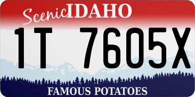 ID license plate 1T7605X