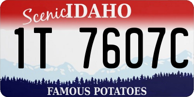 ID license plate 1T7607C