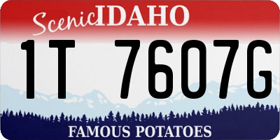 ID license plate 1T7607G