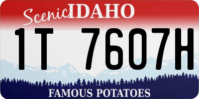 ID license plate 1T7607H