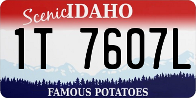 ID license plate 1T7607L