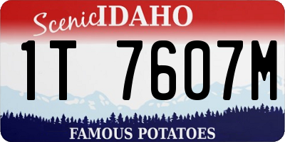 ID license plate 1T7607M